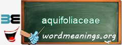WordMeaning blackboard for aquifoliaceae